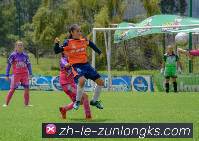 尊龙凯时官网品牌故事