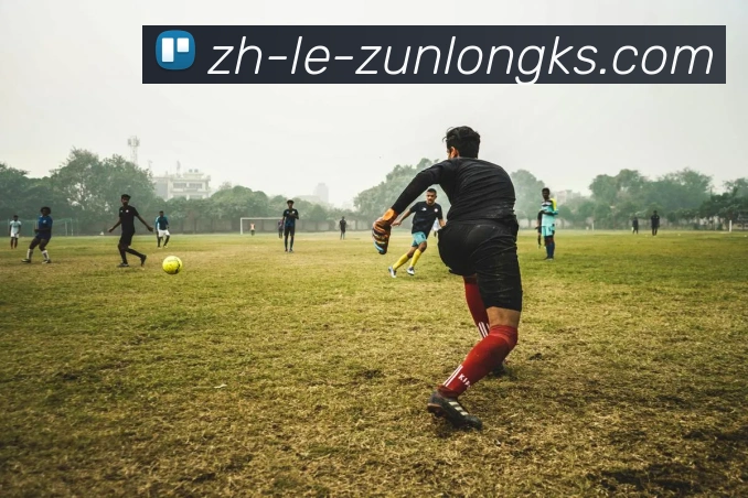 尊龙凯时官网服务体系